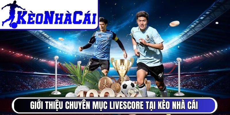 Giới thiệu chuyên mục Livescore tại Kèo Nhà Cái