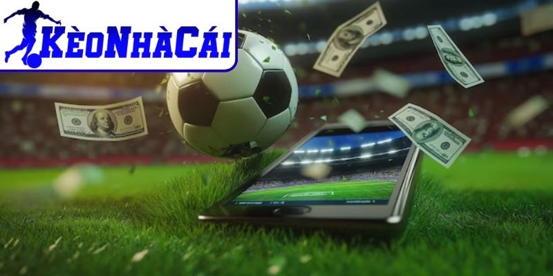 Kèo cơ hội kép là gì?