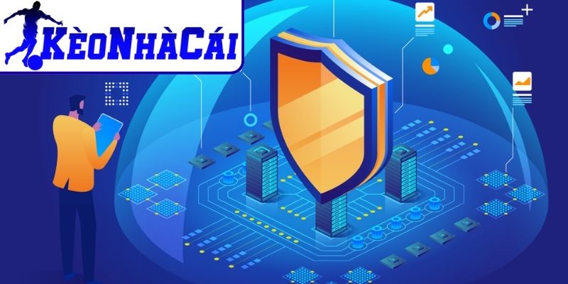 Thông tin được thu thập